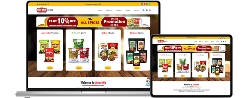 assets/images/case-study-amer-kila-website.png